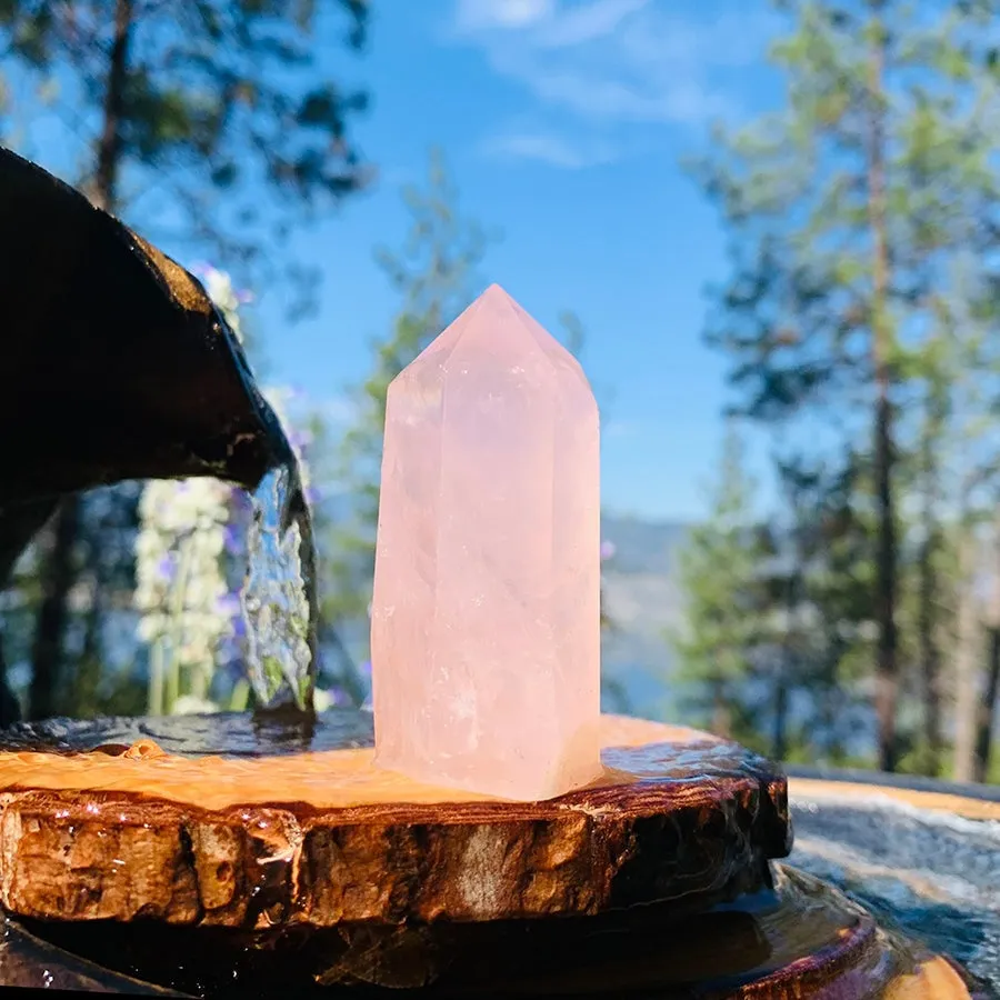 $5 Rose Quartz Crystal - 1 Day Only PROMO