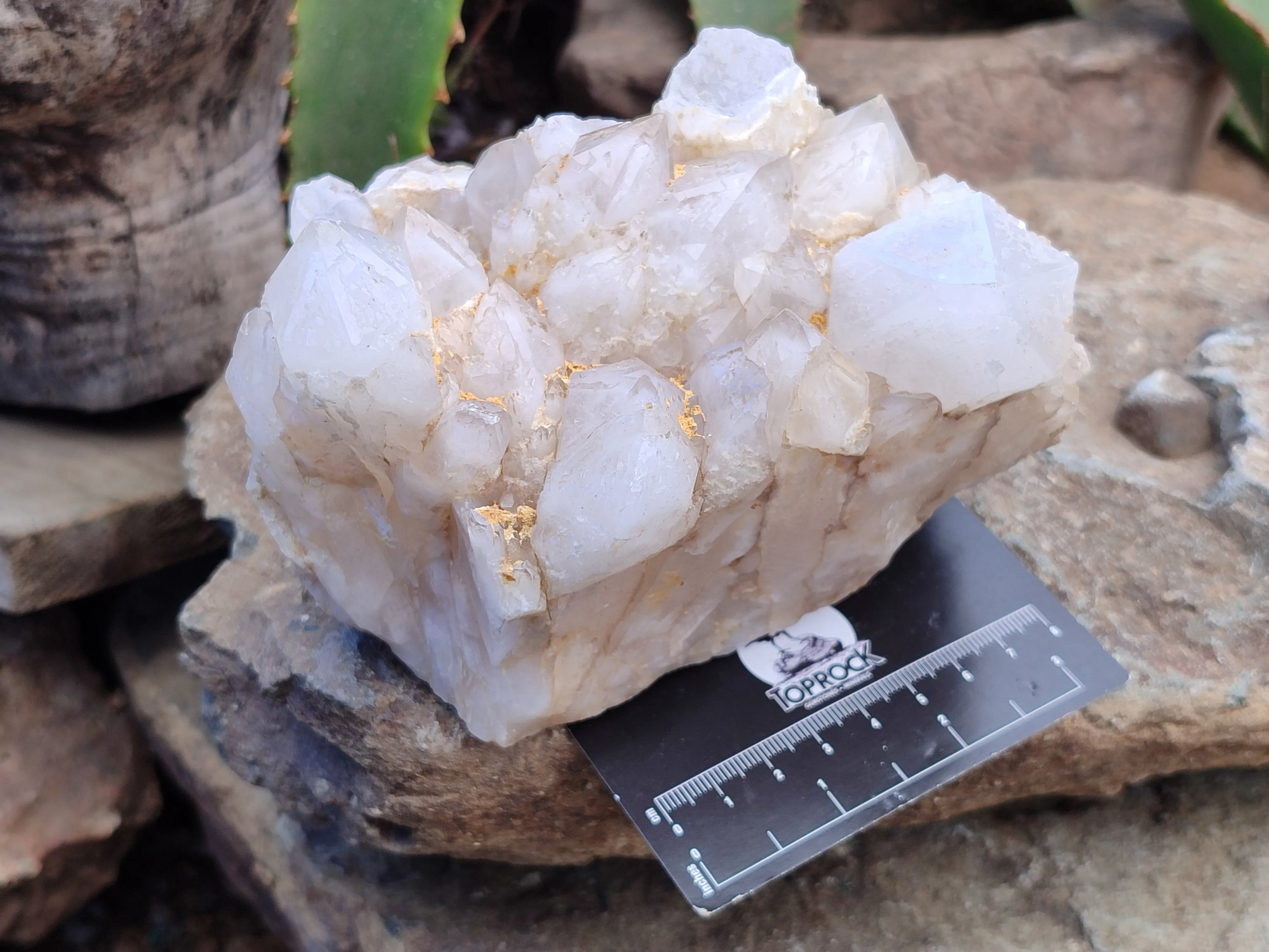 Natural Candle Quartz Clusters x 2 From Madagascar