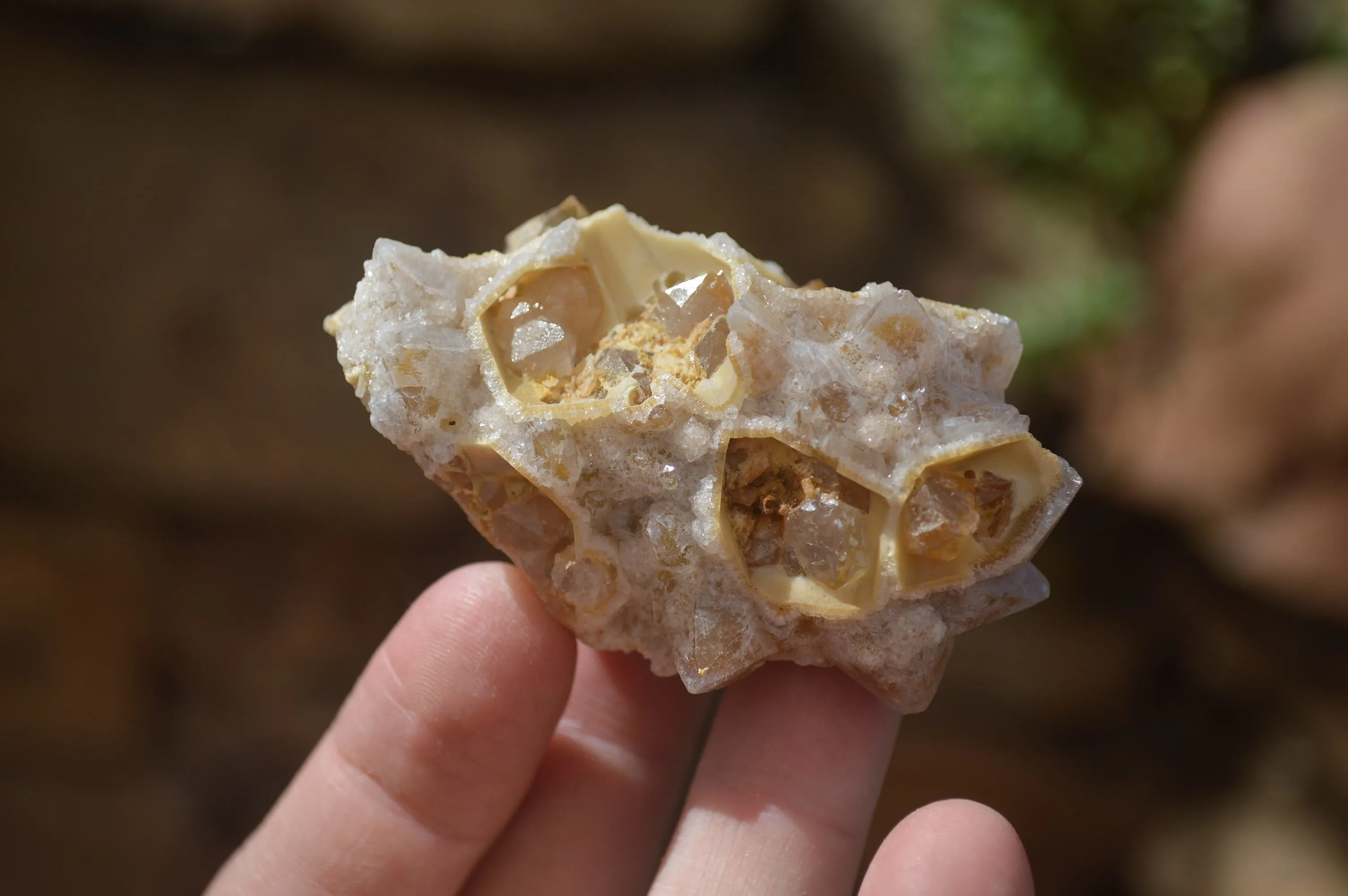 Natural Golden Limonite Quartz Clusters x 33 From Zambia