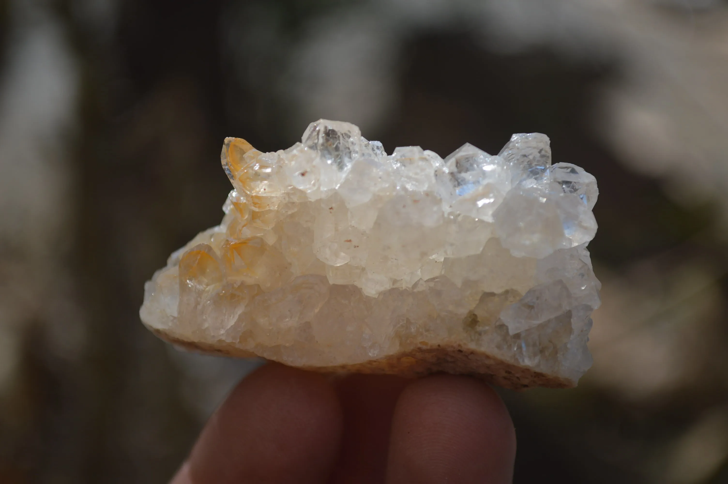 Natural Golden Limonite Quartz Clusters x 33 From Zambia