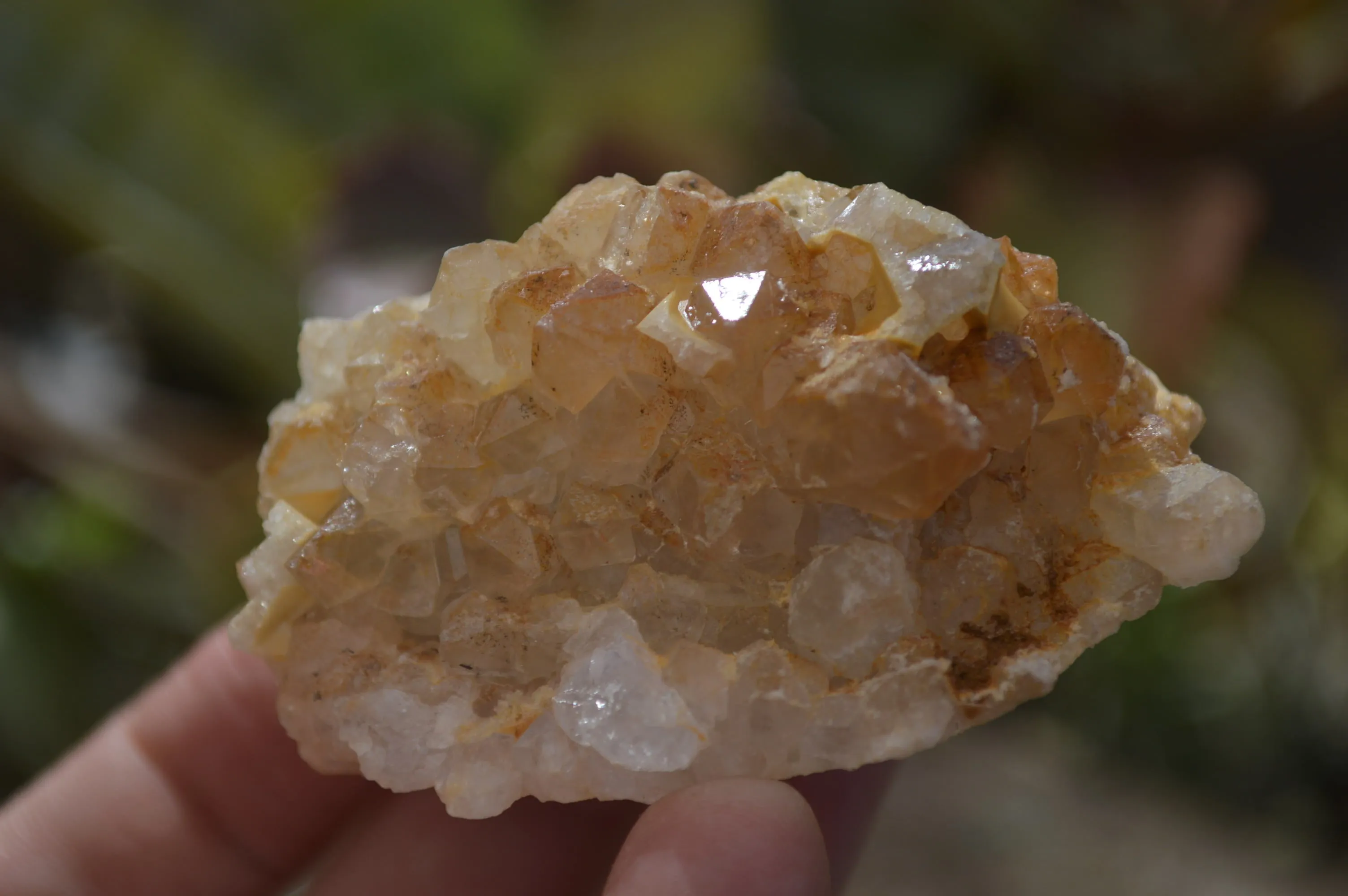 Natural Golden Limonite Quartz Clusters x 33 From Zambia