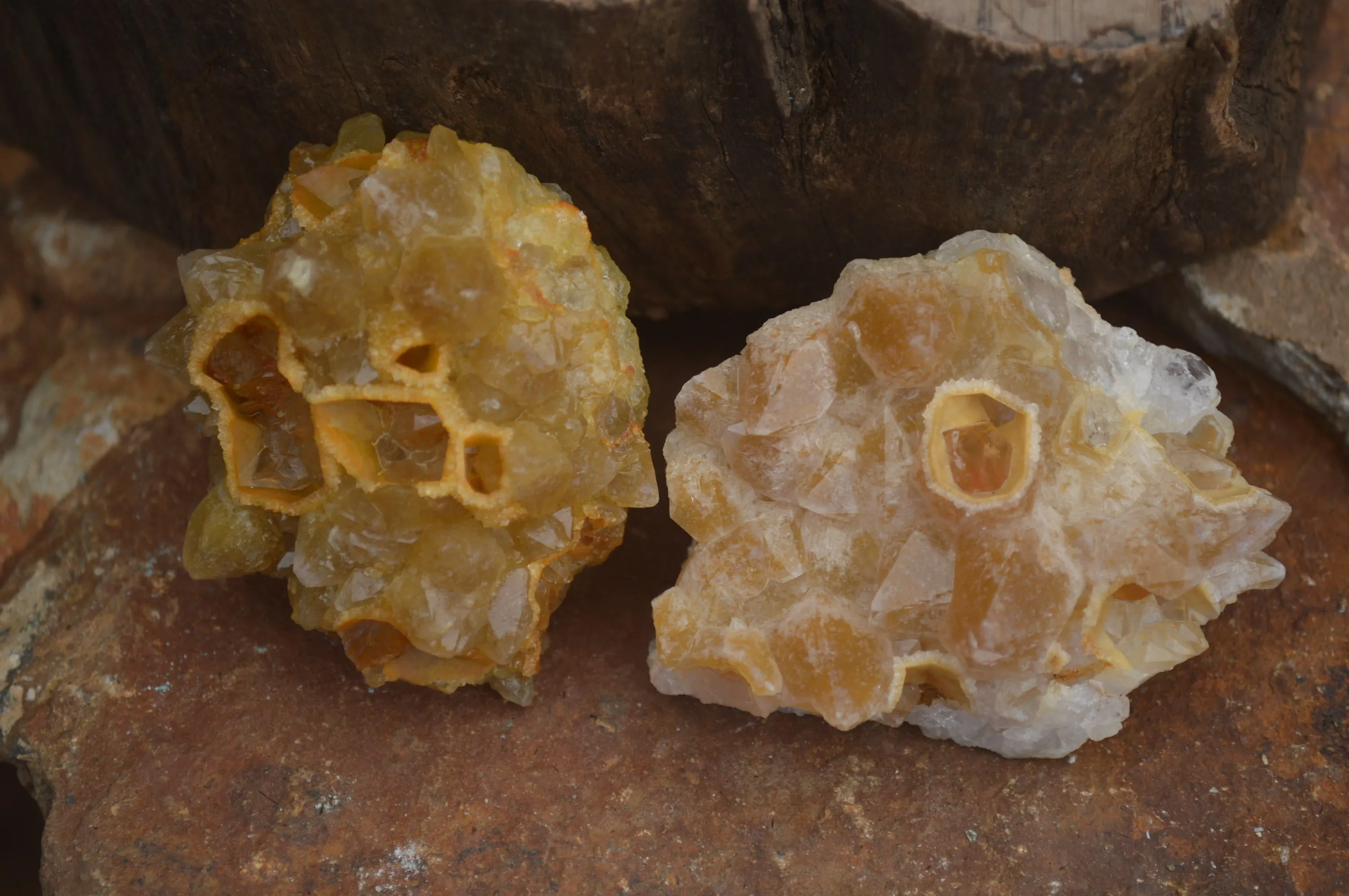 Natural Golden Limonite Quartz Clusters x 33 From Zambia