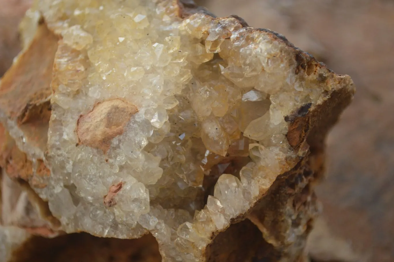 Natural Golden Limonite Quartz Vug Specimen x 1 From Zambia