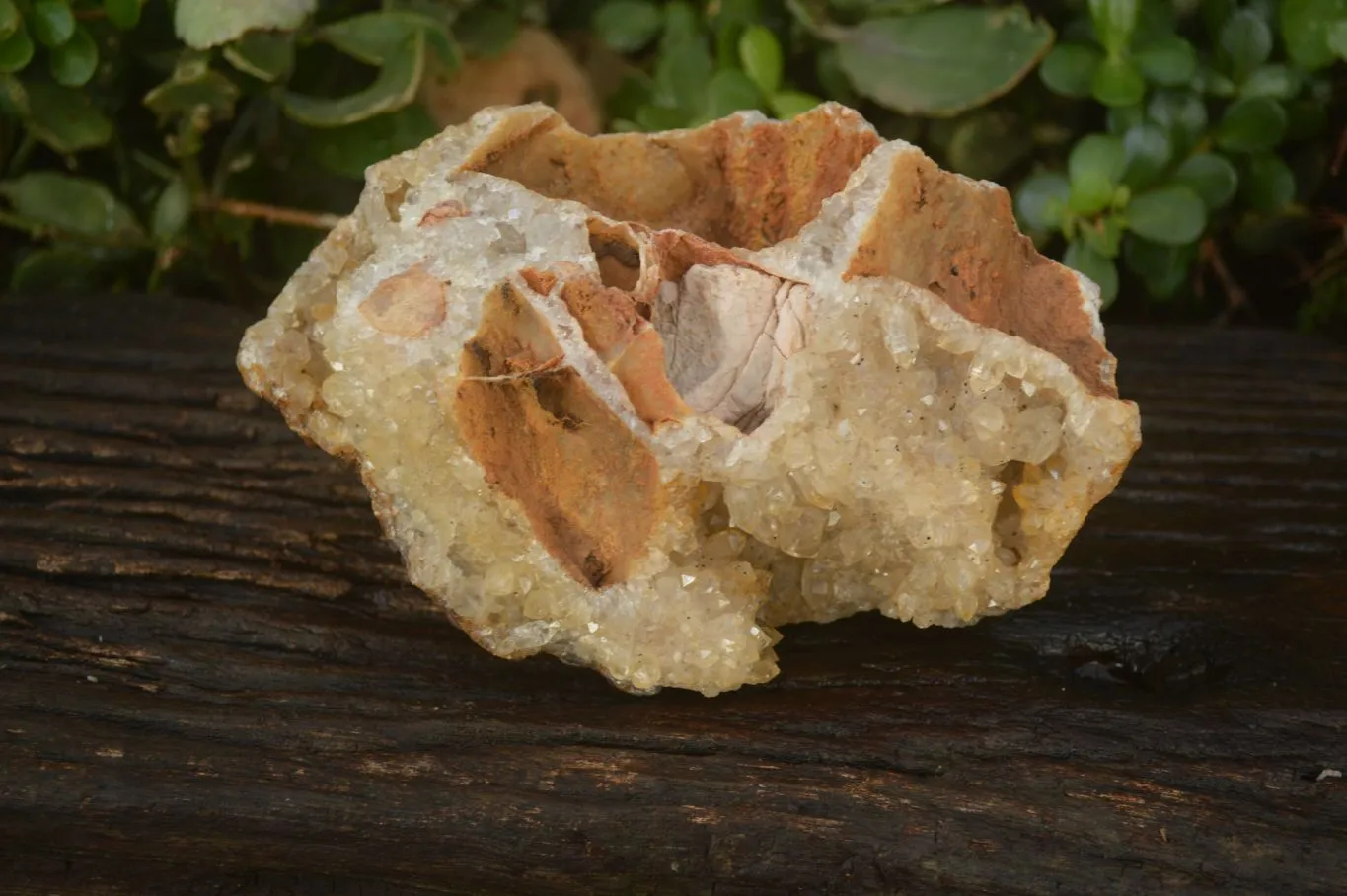 Natural Golden Limonite Quartz Vug Specimen x 1 From Zambia