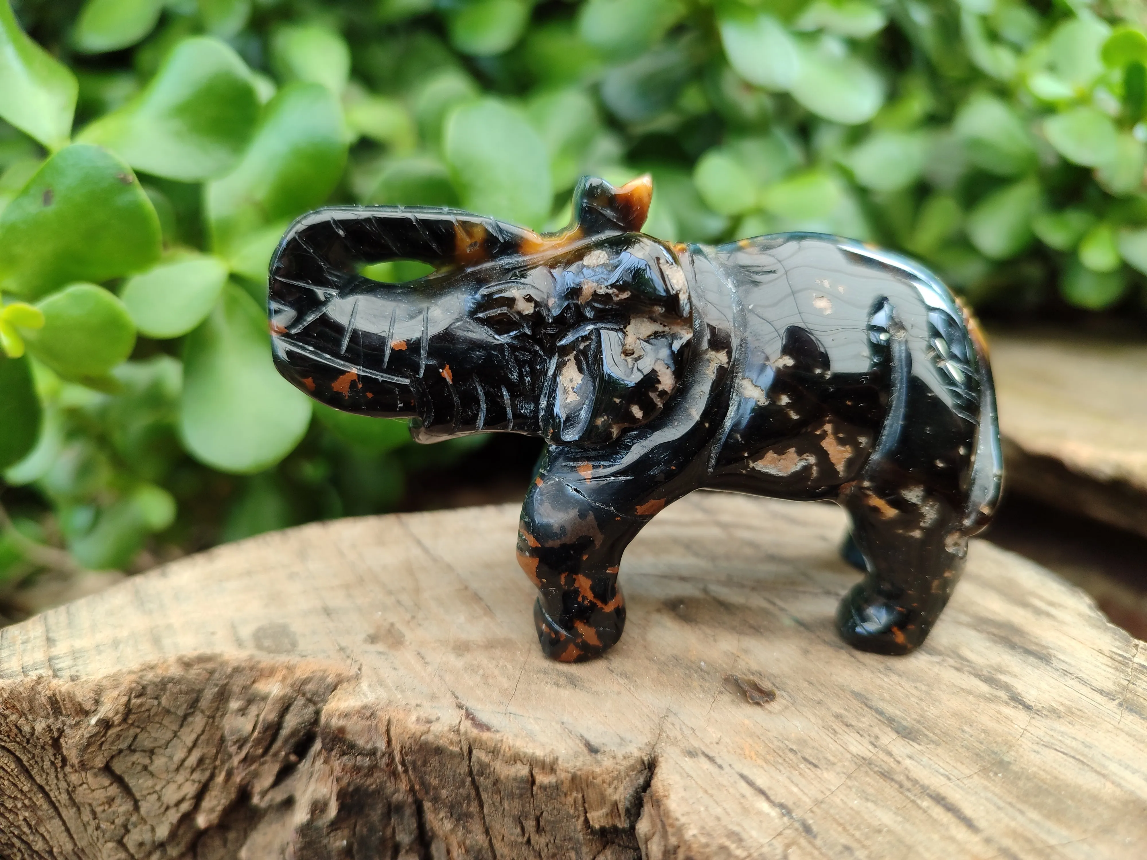 Polished Black Onyx Elephant Carvings - sold per item - From Brazil