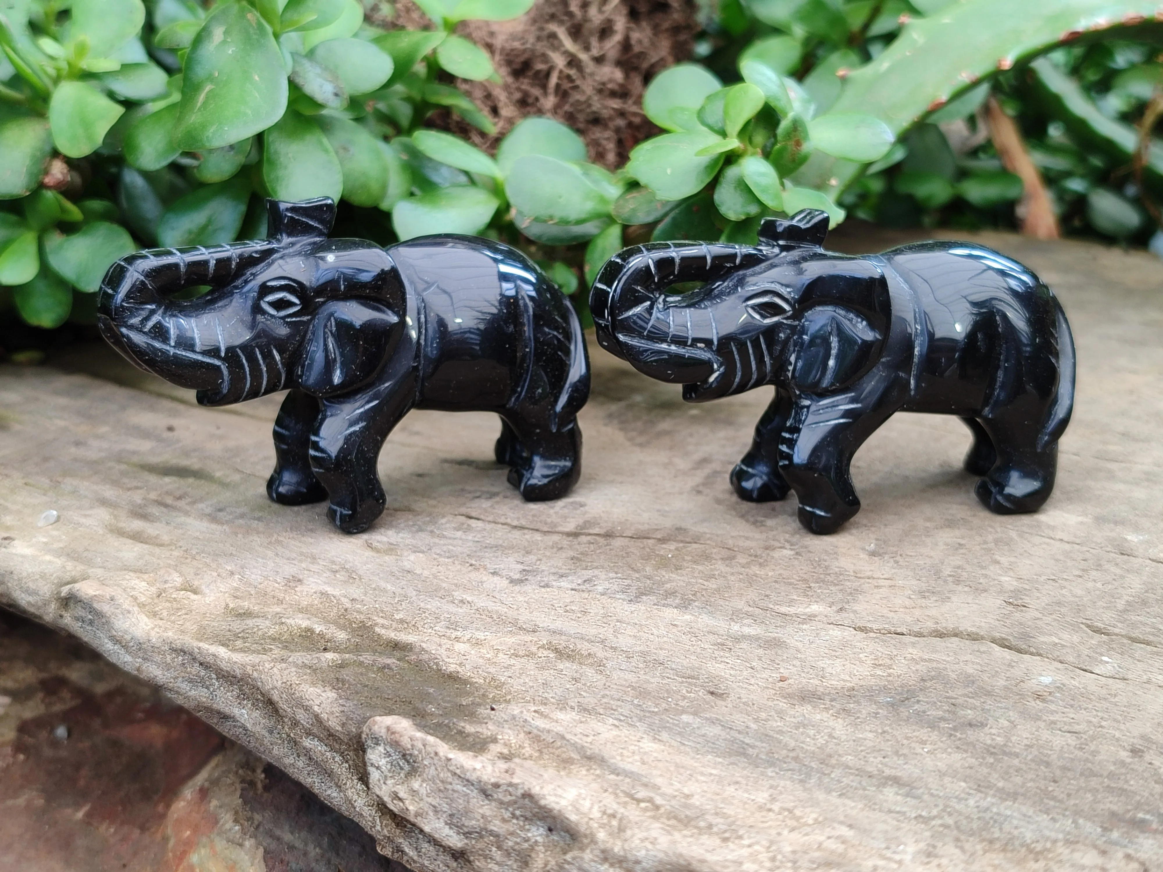 Polished Black Onyx Elephant Carvings - sold per item - From Brazil