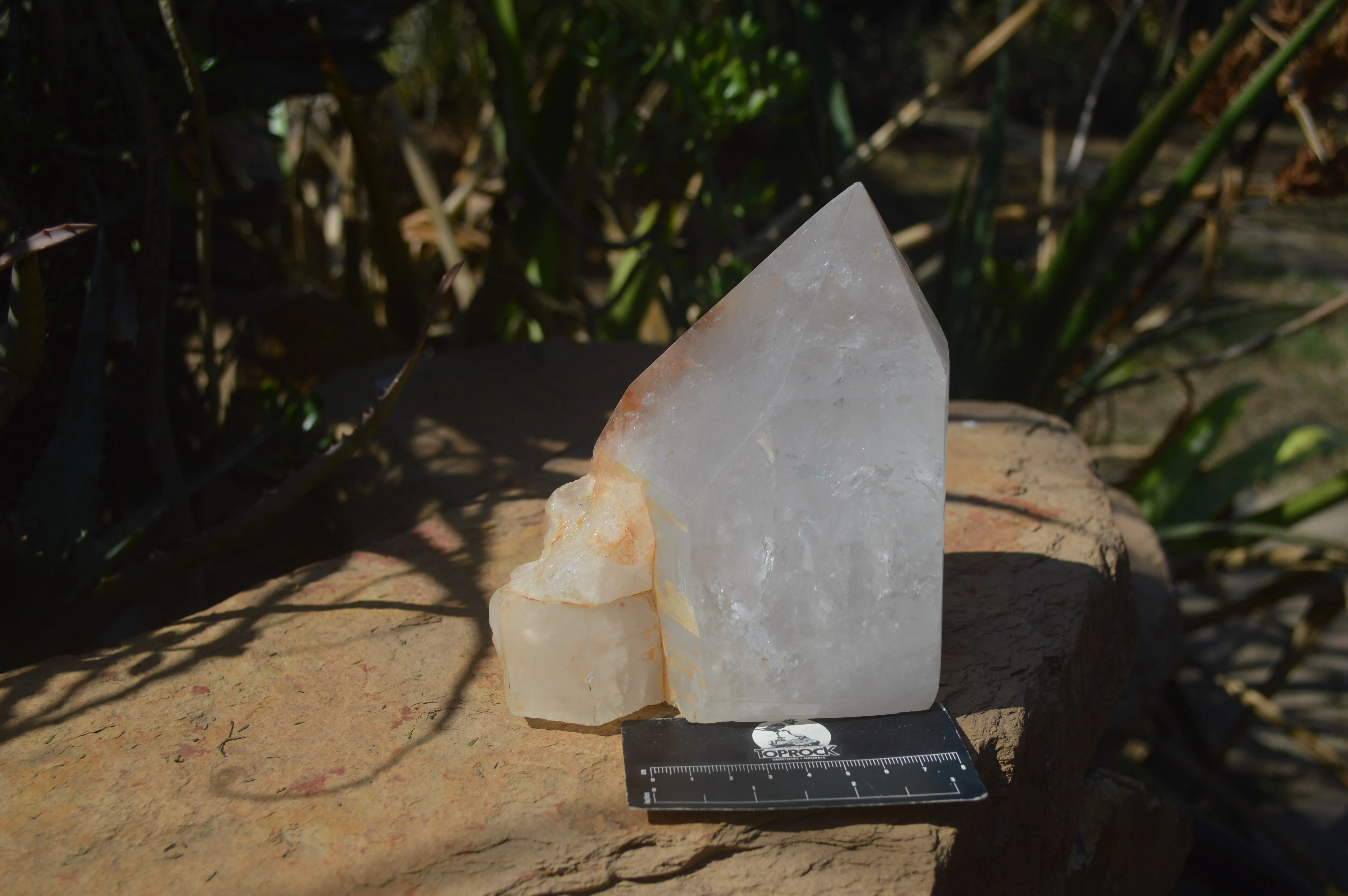 Polished Large Clear Quartz Crystal x 1 From Madagascar