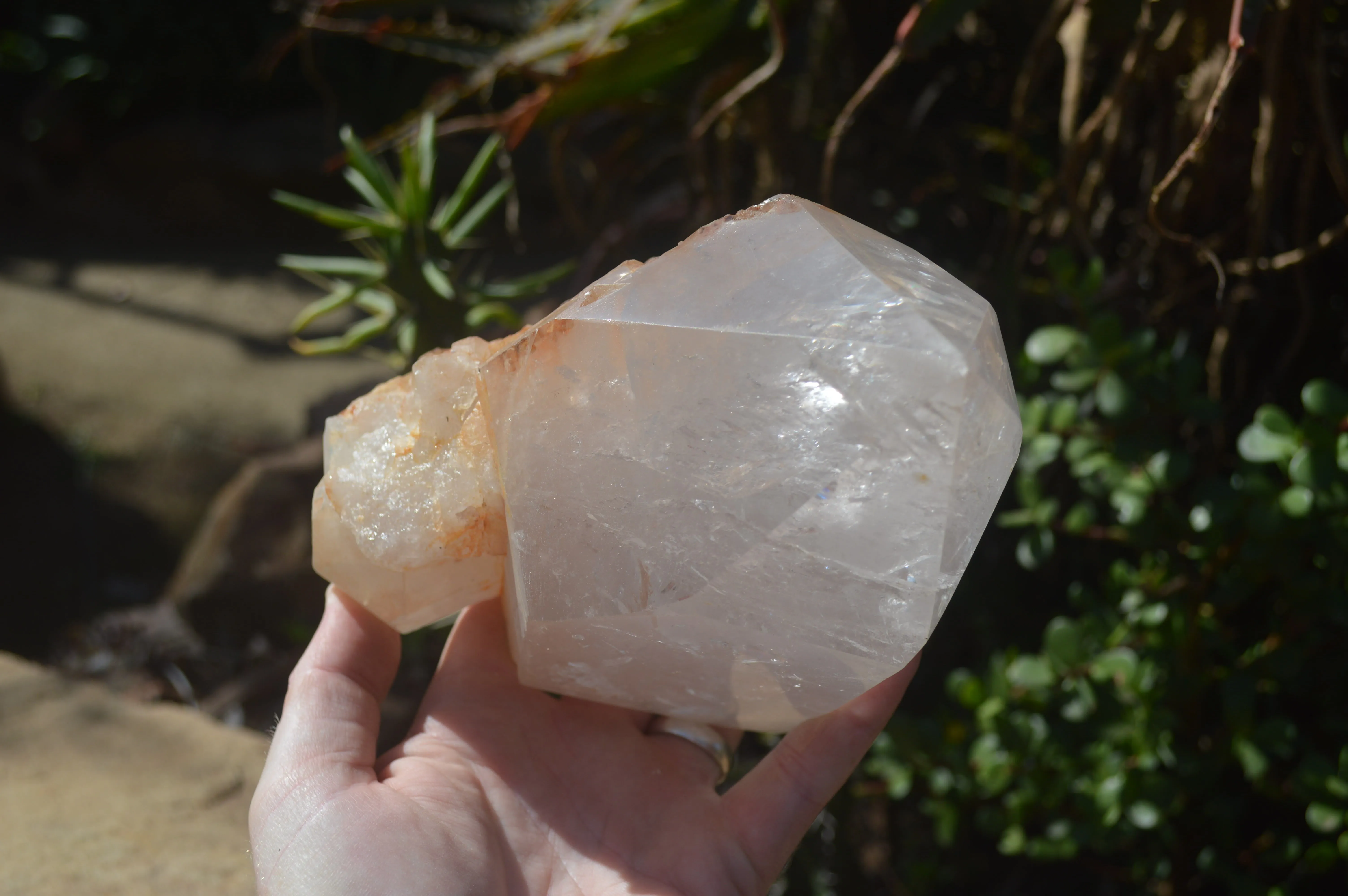 Polished Large Clear Quartz Crystal x 1 From Madagascar