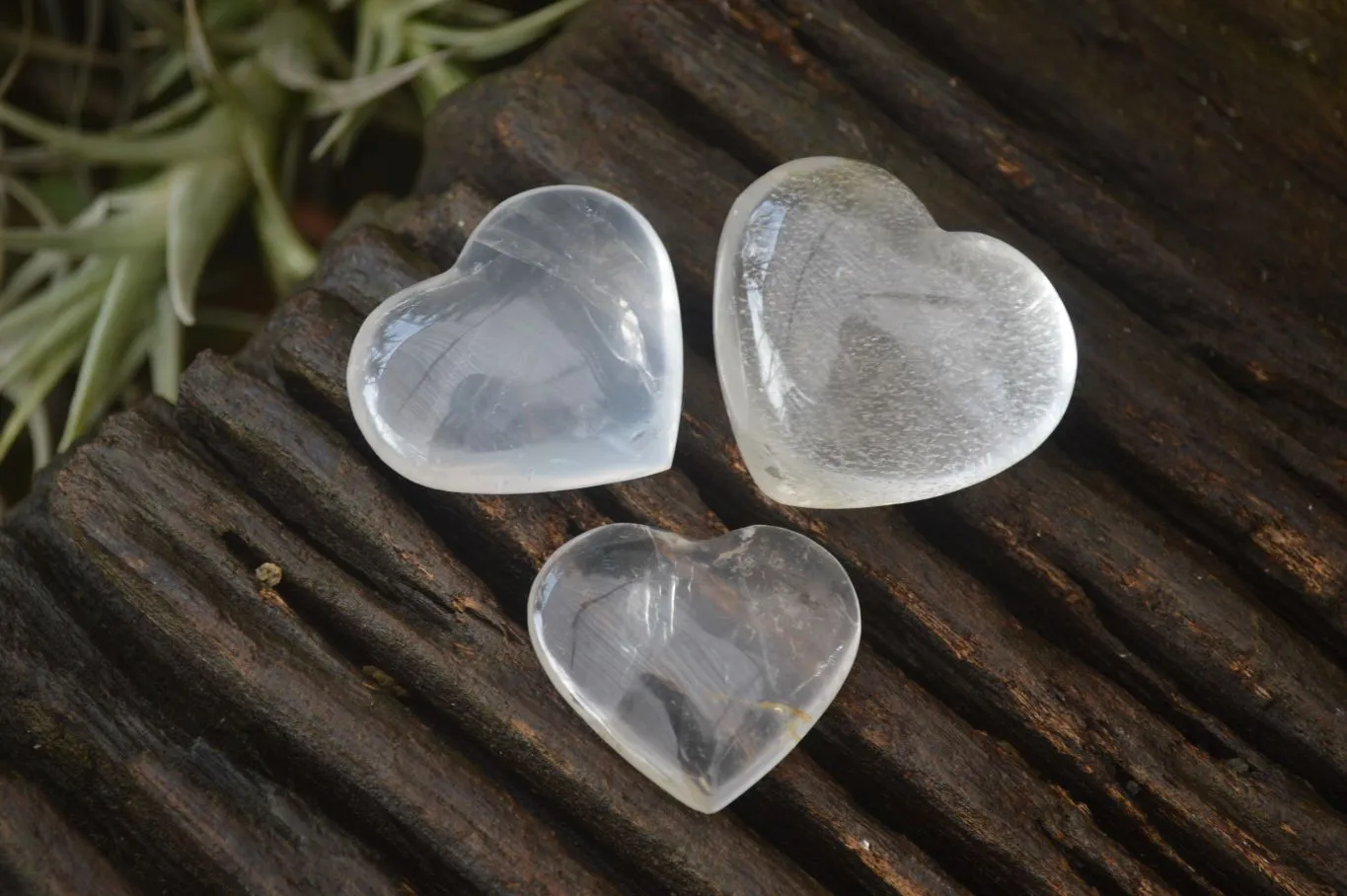 Polished Mini Girasol Pearl Quartz Hearts x 20 From Ambatondrazaka, Madagascar