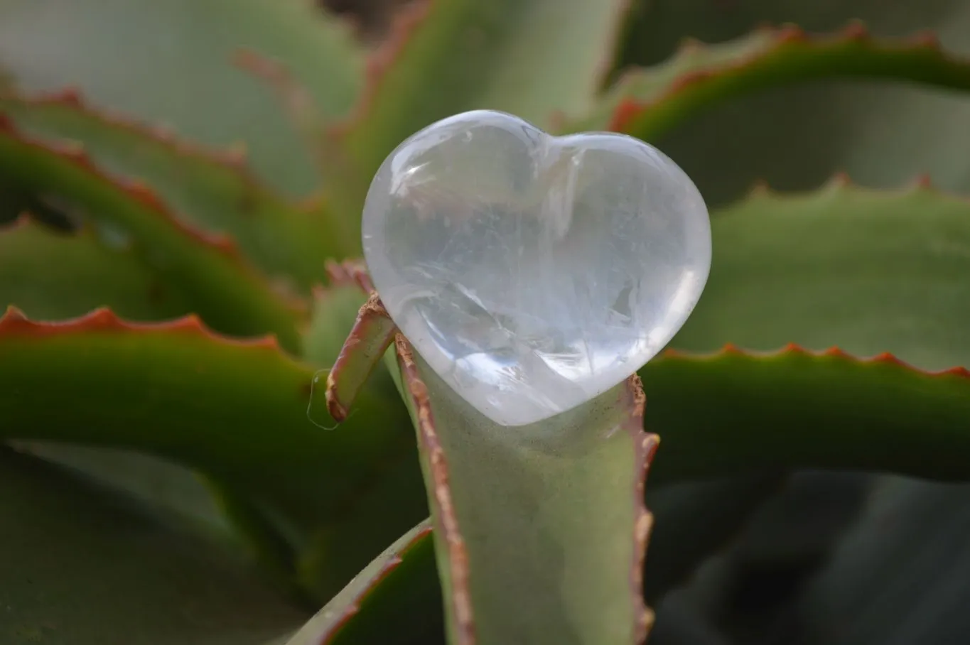 Polished Mini Girasol Pearl Quartz Hearts x 20 From Ambatondrazaka, Madagascar