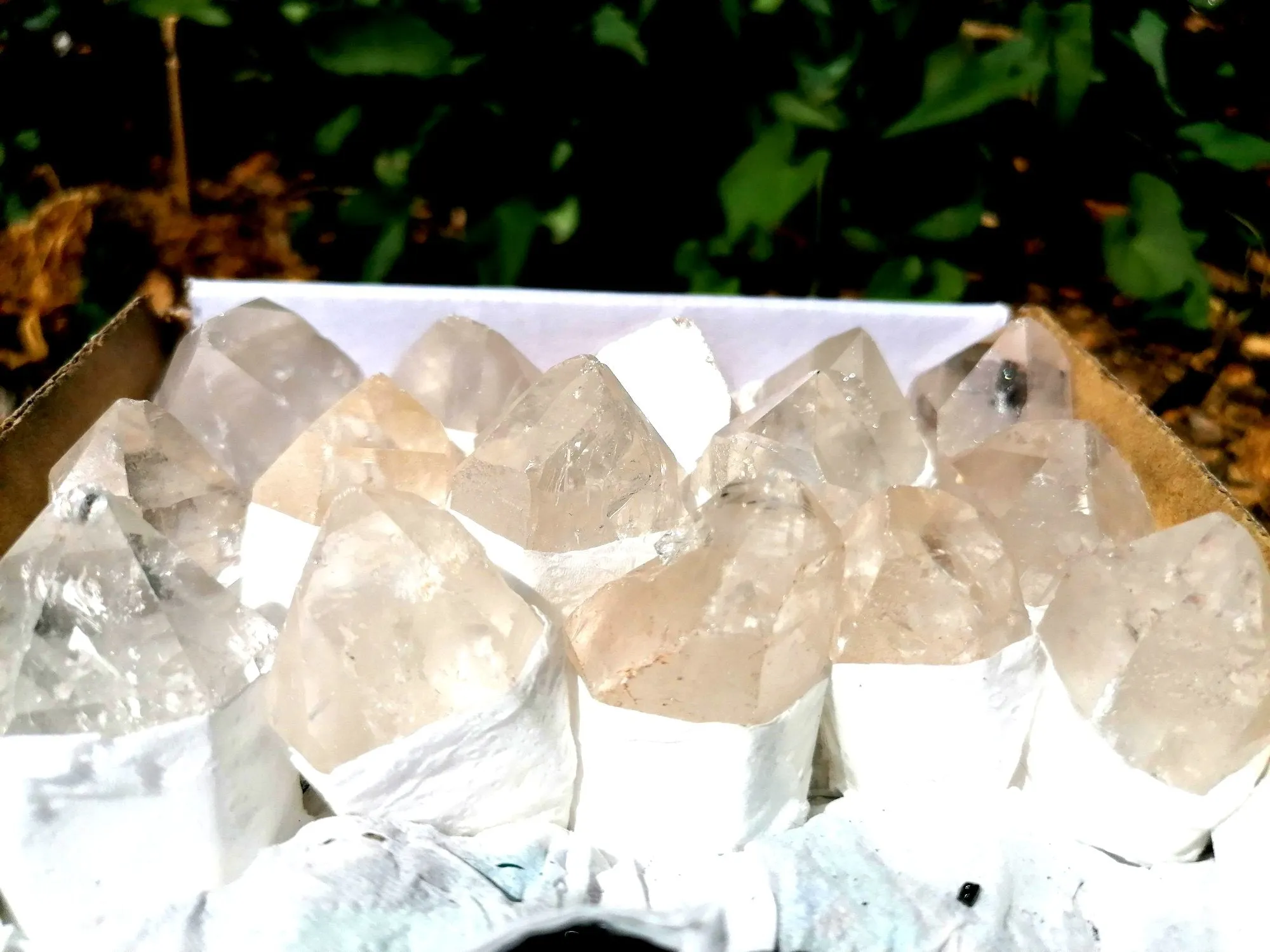 Quartz Point